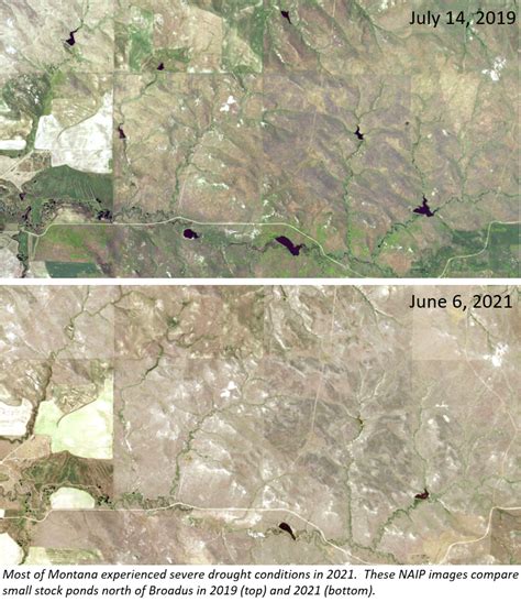 Beginning in 2003, NAIP was acquired on a 5-year cycle. . Naip imagery download